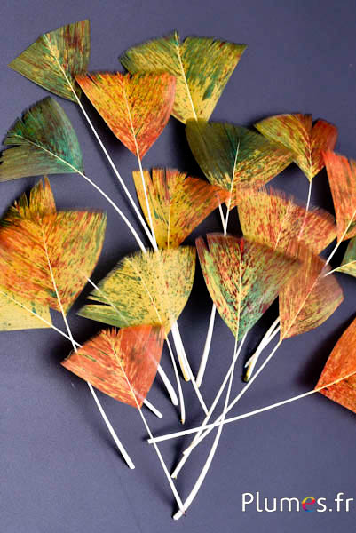 Pétales en plumes - 6-8 x 3-4 cm - automne 